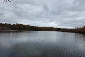 Killens Pond State Park Nature Center image