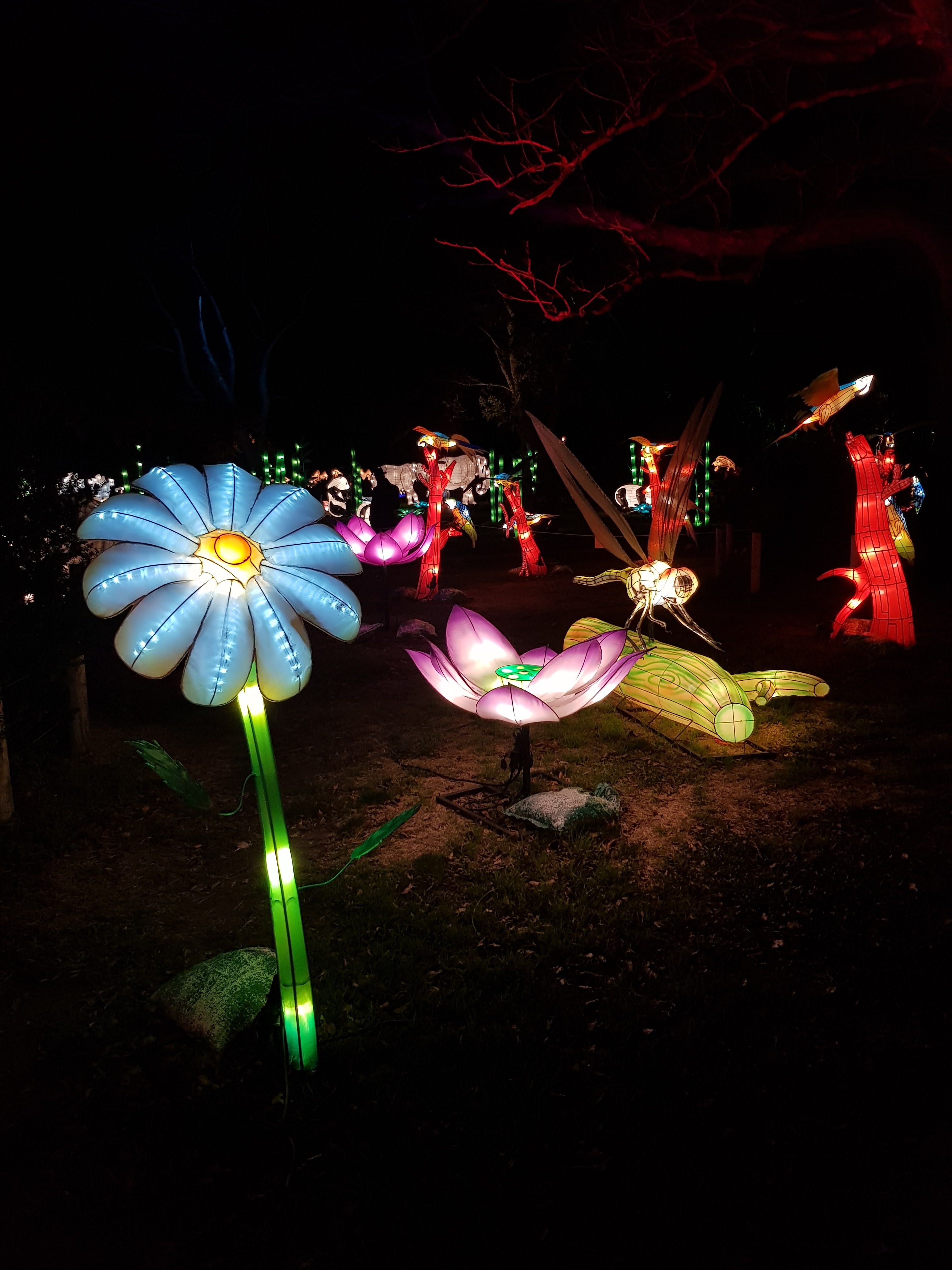 Photo n° 18 de l'avis de AlexBebop. fait le 30/12/2019 à 10:04