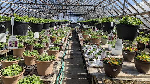 Florist «Park Place Florist and Garden Center», reviews and photos, 72 Park St, Rutland, VT 05701, USA