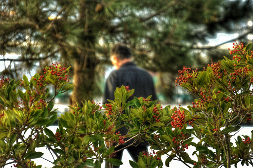 Middle Harbor Shoreline Park image