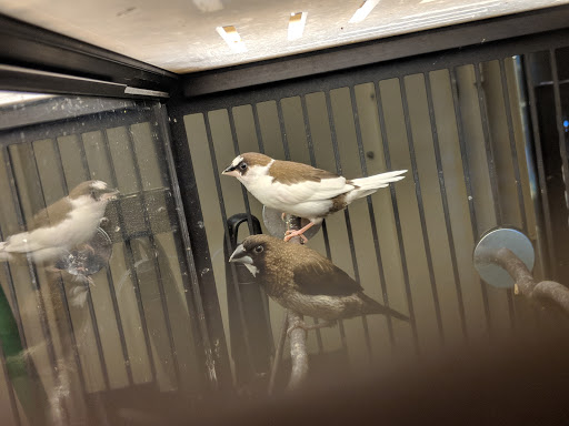 Pet Supply Store «PetSmart», reviews and photos, 2940 Chapel Hill Rd, Douglasville, GA 30135, USA