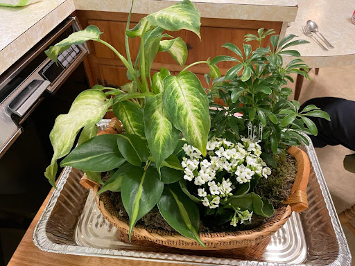 Florist «Dillon-Chapin Inc», reviews and photos, 161 White St, Hartford, CT 06114, USA