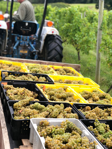 Winery «Magnanini Winery, Restaurant & Distillery», reviews and photos, 172 Strawridge Rd, Wallkill, NY 12589, USA