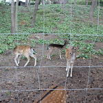 Photo n°4 de l'avis de Susann.o fait le 30/12/2017 à 20:39 sur le  Hotel Gravelotte à Meesiger
