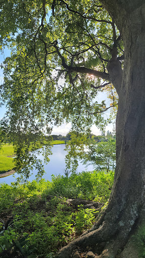 Golf Club «Woodlands Country Club», reviews and photos, 4600 Woodlands Blvd, Tamarac, FL 33319, USA