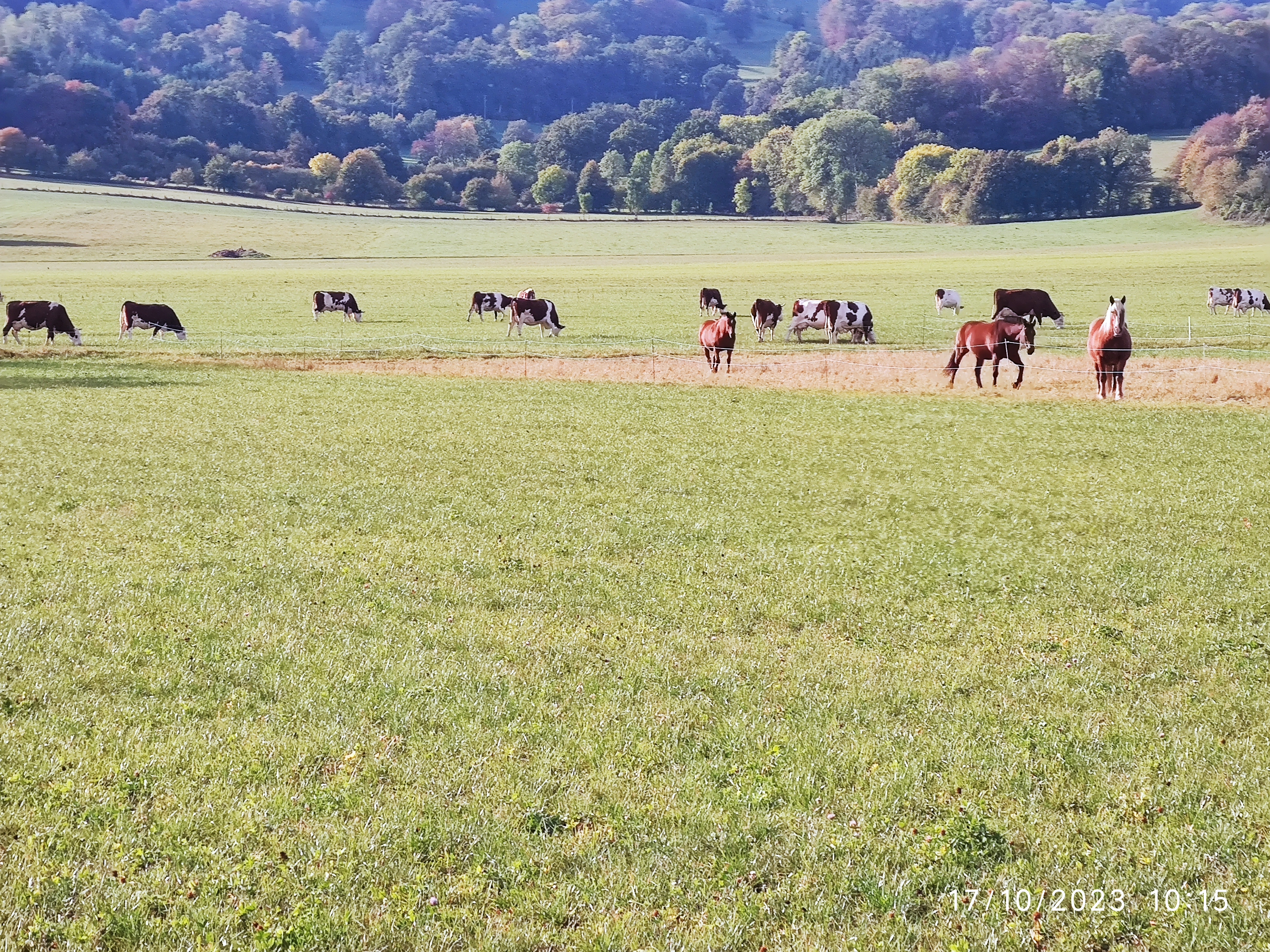 Photo n° 37 de l'avis de Patrick.i fait le 12/12/2023 à 10:07