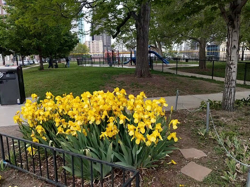 Park «Lawson Park», reviews and photos, 2301 Welton St, Denver, CO 80205, USA