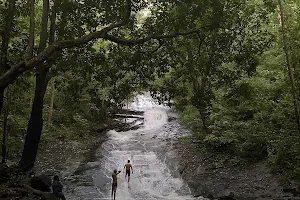 Appunnippara Waterfalls image