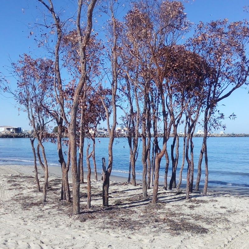 Bathers Beach House