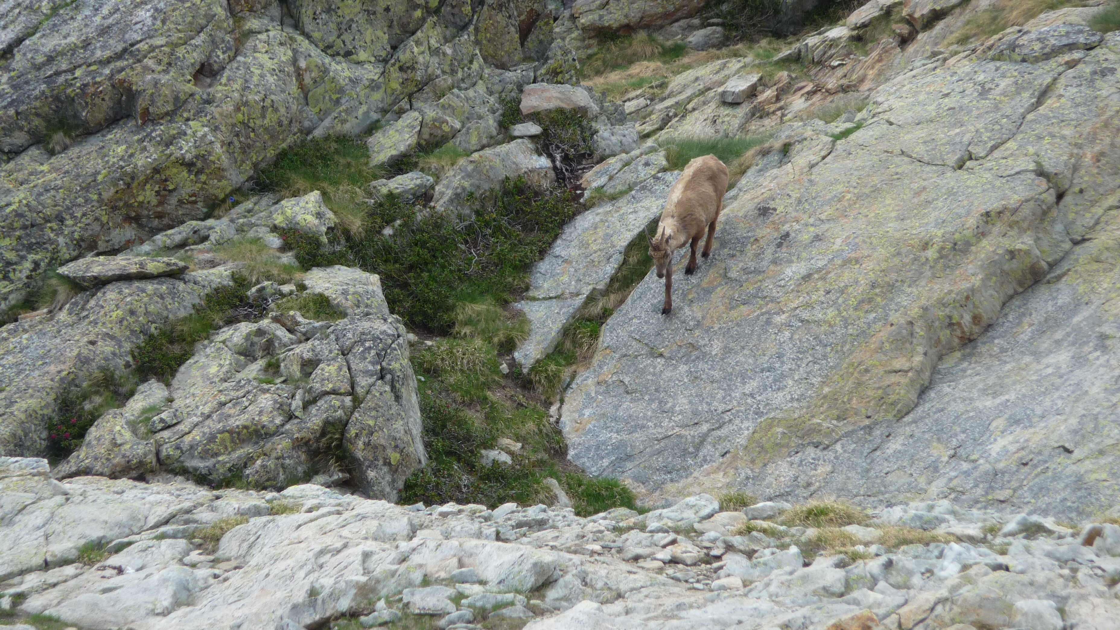 Photo n° 5 de l'avis de Pascal.a fait le 10/07/2018 à 14:41
