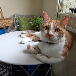 Photo n°1 de I-CAD à L'Haÿ-les-Roses ()