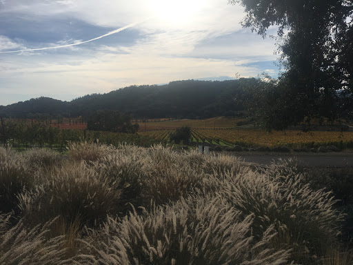 Winery «Cuvaison Estate Wines», reviews and photos, 1221 Duhig Rd, Napa, CA 94559, USA