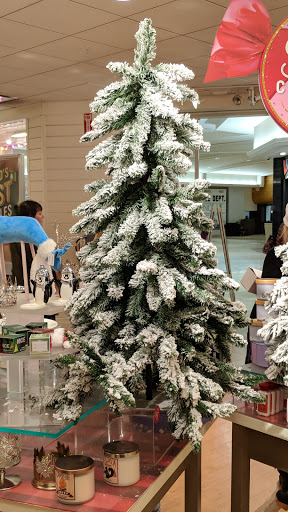 Shopping Mall «Oakdale Mall», reviews and photos, Harry L Dr #601-635, Johnson City, NY 13790, USA