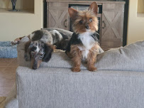 Heres My Heart - Photo 5 - Car repair in Surprise, AZ, Glendale