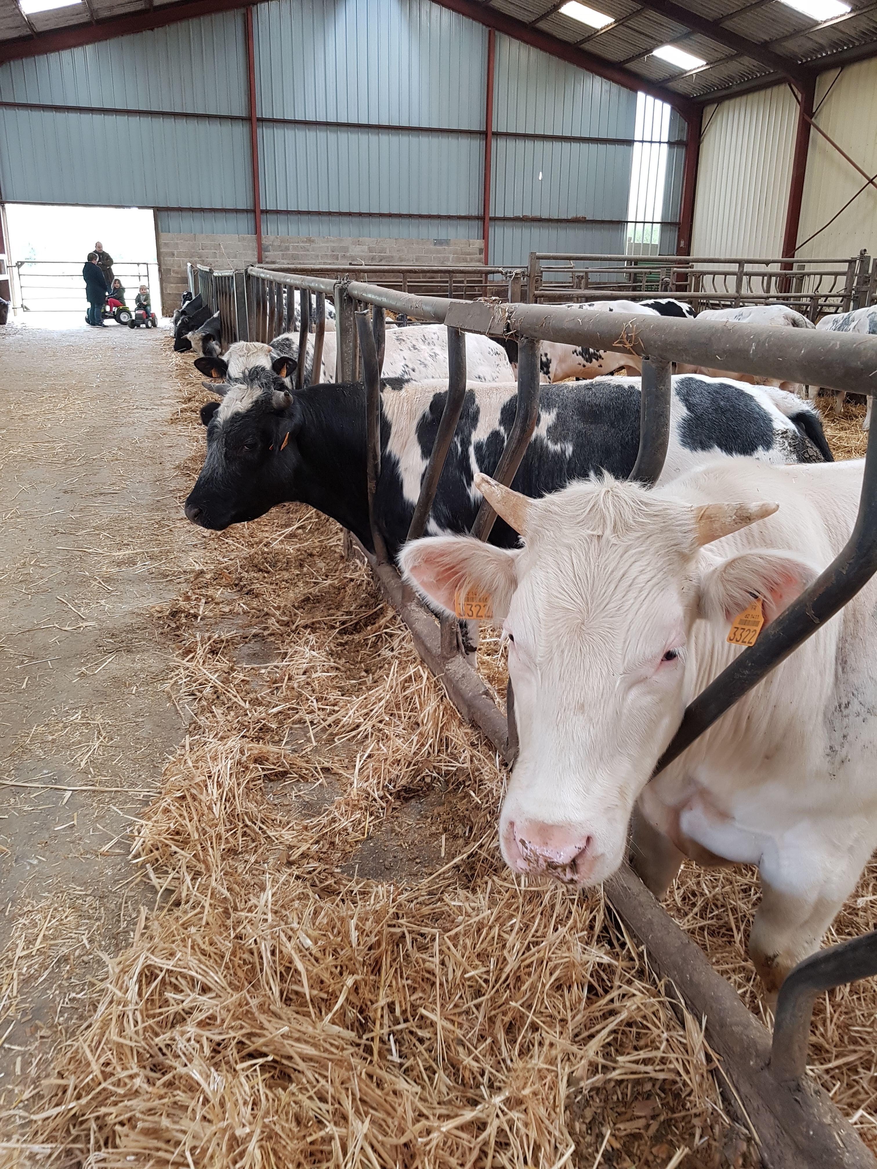 Photo n° 27 de l'avis de Alicia.P fait le 28/04/2019 à 13:27
