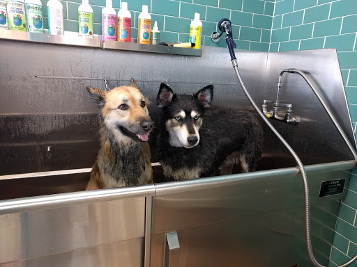 Pet Supply Store «Premier Pet Supply», reviews and photos, 15399 Merriman Rd, Livonia, MI 48154, USA