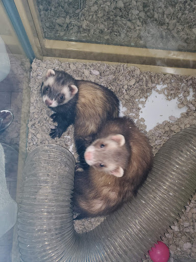 Pet Supply Store «Pet Supermarket, Inc.», reviews and photos, 3911 Lemmon Ave, Dallas, TX 75219, USA