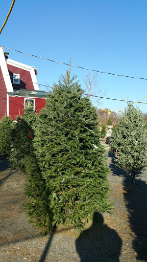 Garden Center «Hilltop Nursery & Garden Center», reviews and photos, 2028 Albany Post Rd, Croton-On-Hudson, NY 10520, USA