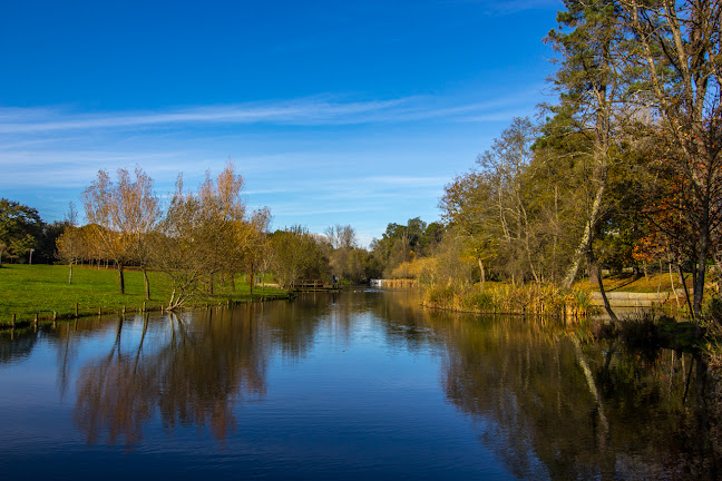 Parque Municipal