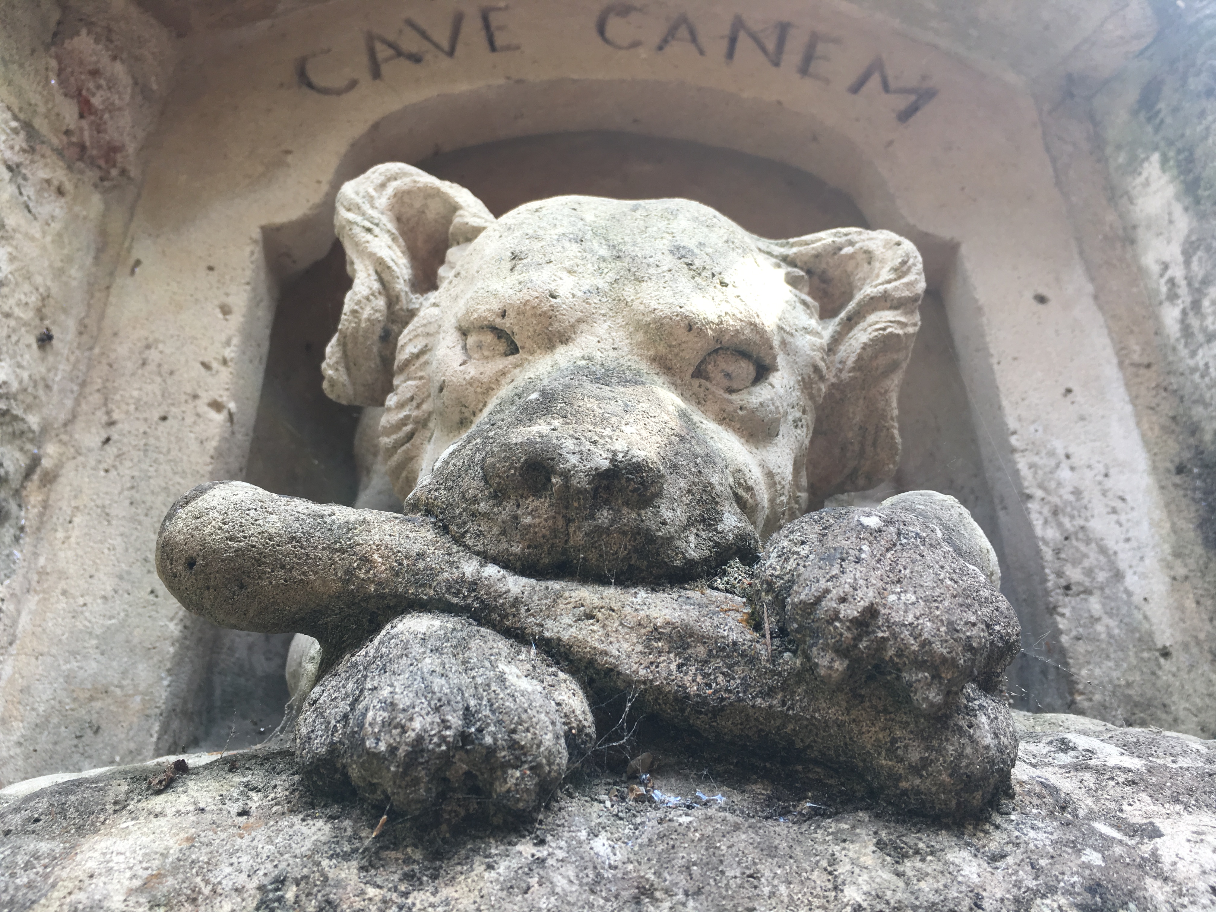 Photo n° 7 de l'avis de Urban.r fait le 15/08/2019 à 15:21
