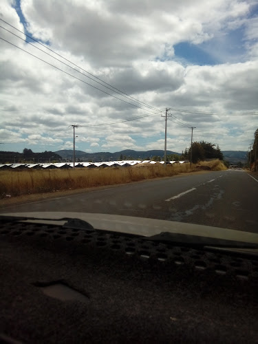 Virgen De Los Rayos - Los Sauces