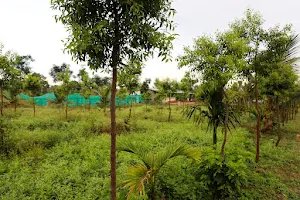 Sri Gandhavriksha farms image