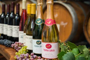 Terra Sávia Organic Winery & Olive Mill image