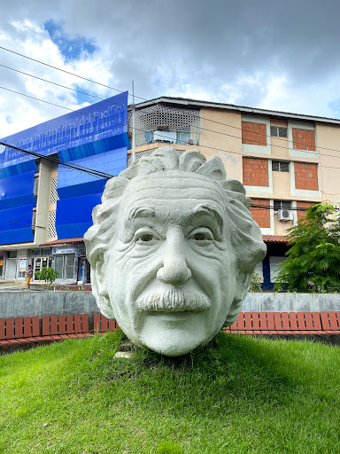 Einstein's Head