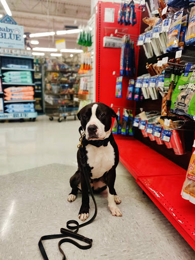 Pet Supply Store «Petco Animal Supplies», reviews and photos, 390 East 525 North, Harrisville, UT 84404, USA