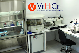VeHiCe - Veterinary Histopathology Center