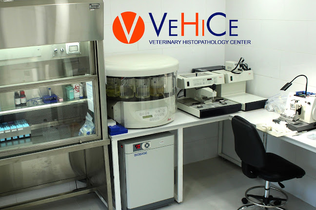 VeHiCe - Veterinary Histopathology Center