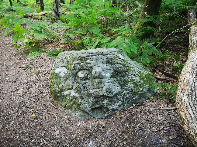 Bøllingsø Camping - Hotel