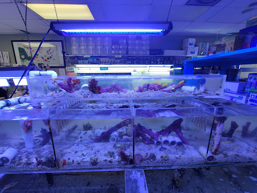 Tropical Fish Store «Coral Reef Aquariums», reviews and photos, 8416 N Armenia Ave, Tampa, FL 33604, USA