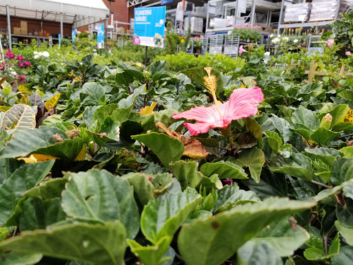 Supermarket «ALDI», reviews and photos, 1060 Highway 85 North, Fayetteville, GA 30214, USA