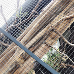 Photo n°19 de l'avis de Sarah.. fait le 01/08/2023 à 15:46 sur le  Aquarium Wilhelmshaven incl. Prehistoric Sea Museum à Wilhelmshaven