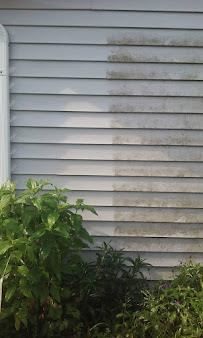 American Quality Cleaning Inc - Photo 4 - Car repair in Waterford Twp, MI, South Lyon