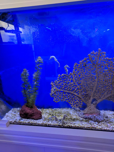 Tropical Fish Store «Beyond the Reef», reviews and photos, 205 W Golf Rd, Schaumburg, IL 60195, USA