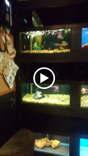 Pet Store «Friendly Pets», reviews and photos, 625 Friendly Center Rd, Greensboro, NC 27408, USA