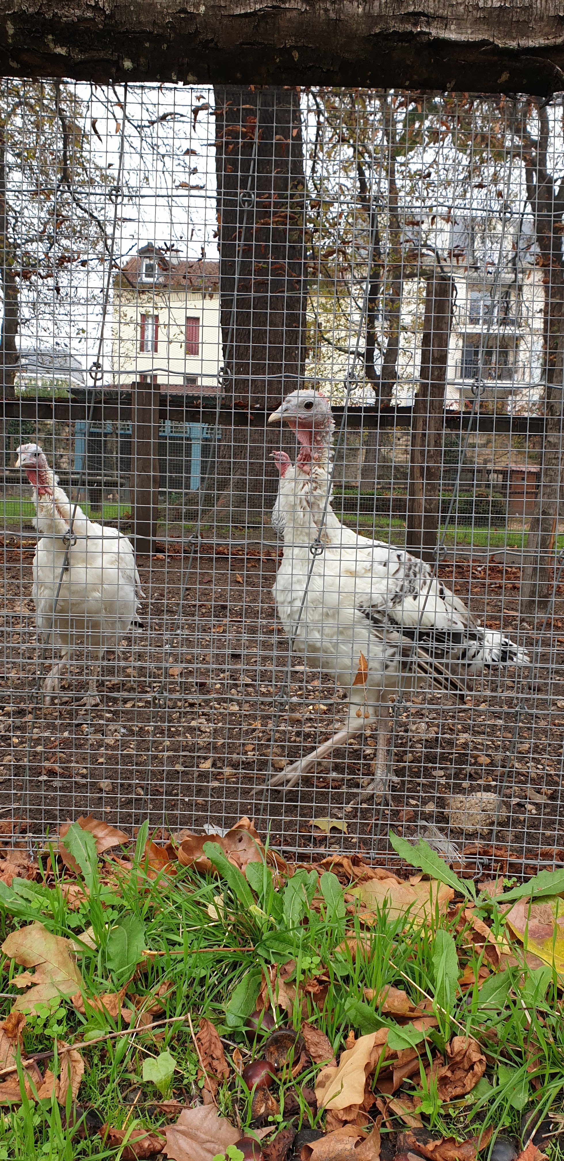 Photo n° 45 de l'avis de Julien.' fait le 23/10/2019 à 14:35