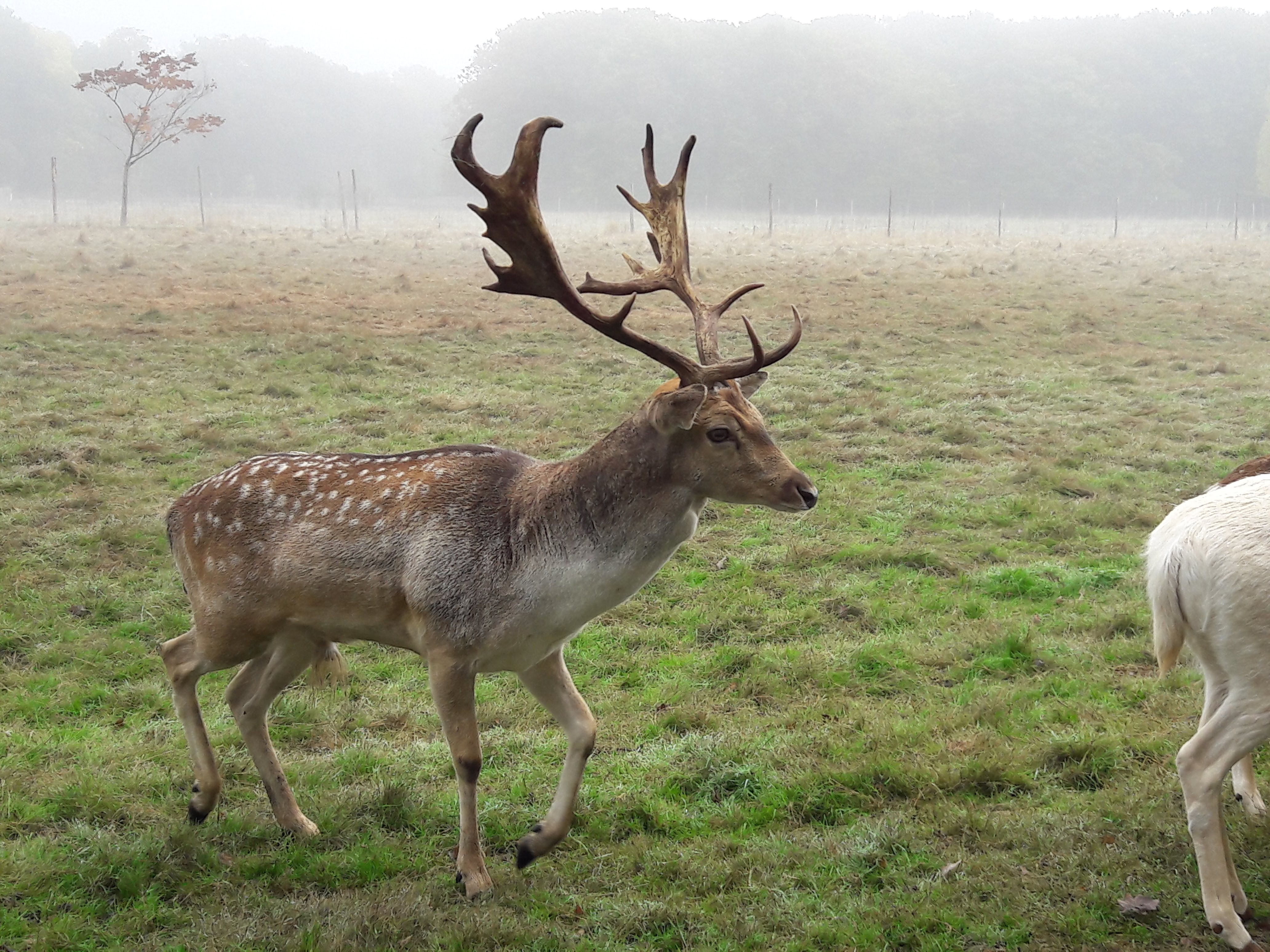 Photo n° 2 de l'avis de Olivier.a fait le 30/10/2016 à 20:01
