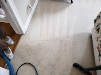 CorneIia Carpet Cleaning - Photo 2 - Car repair in Elmhurst, IL, Chicago