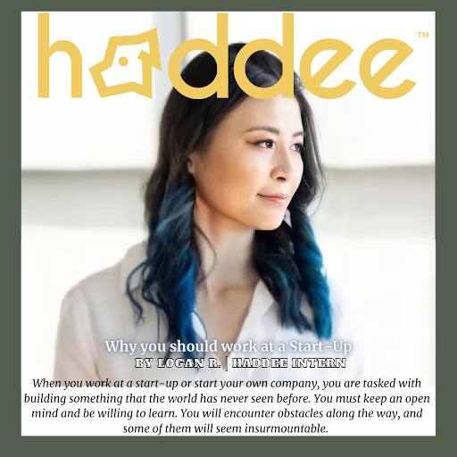 Haddee Education image