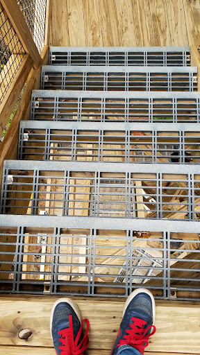 Environmental Organization «VINS Nature Center», reviews and photos, 6565 Woodstock Rd, Quechee, VT 05059, USA