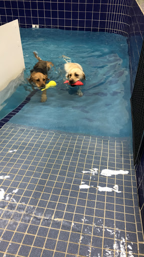 Pet Supply Store «Pet Depot Inc», reviews and photos, 2151 Greenspring Dr, Lutherville-Timonium, MD 21093, USA