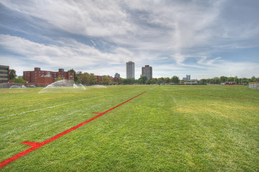 Briggs Field