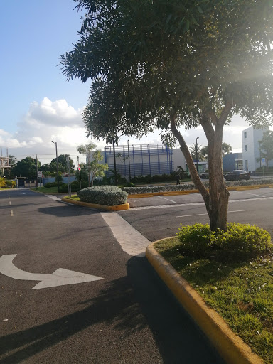 Cursos fiscalidad Punta Cana