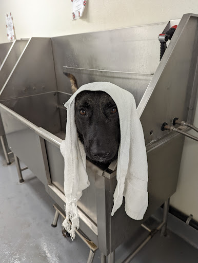 Pet Supply Store «Centinela Feed & Pet Supplies», reviews and photos, 11055 W Pico Blvd, Los Angeles, CA 90064, USA