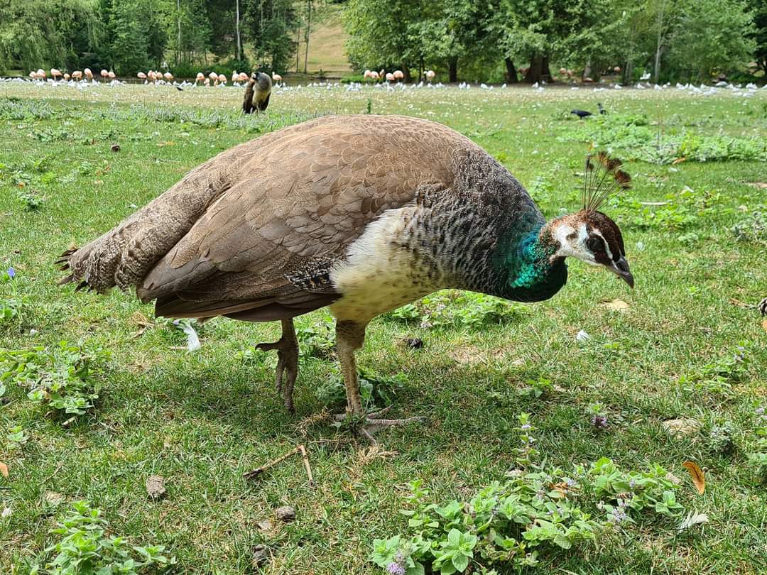 Photo n° 12 de l'avis de Maïté.e fait le 03/08/2022 à 19:24