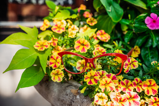 Eye Care Center «Levato Eyewear», reviews and photos, 21 Oak St, Ridgewood, NJ 07450, USA