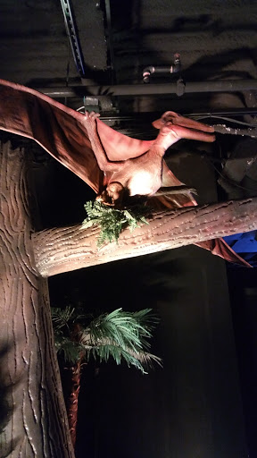 Museum «Portland Science Center», reviews and photos, 68 Commercial St, Portland, ME 04101, USA